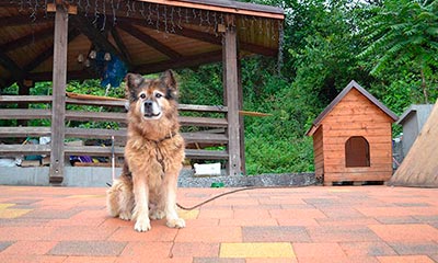 Вибропресованная тротуарная плитка